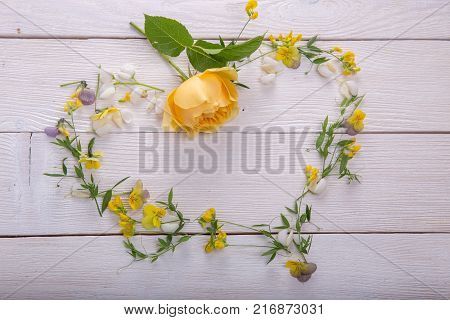 Beautiful yellow English rose and wild flowers on white wooden background lined heart-shaped David Austin Rose Golden Celebration. Copy space. Mother's, Valentines, Women's Wedding Day concept.