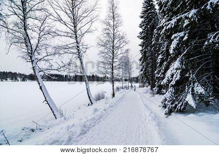 A person walking in a snow covered forest path. Winter activity