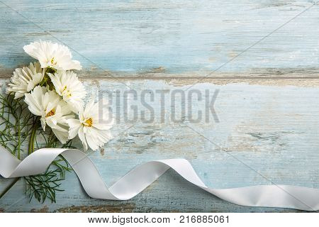 A bouquet of white flowers cosmea or cosmos with ribbon on blue wooden boards. Copy space. Mother's, Valentines, Women's, Wedding Day concept.