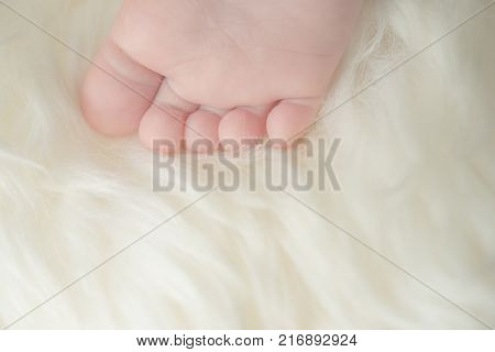 Small bare feet of a little baby girl or boy. Sleeping newborn child. Bare feet of a cute newborn baby in warm white blanket.