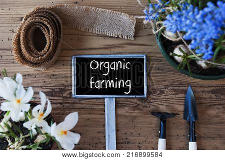 Sign With English Text Organic Farming. Spring Flowers Like Grape Hyacinth And Crocus. Gardening Tools Like Rake And Shovel. Hemp Fabric Ribbon. Aged Wooden Background