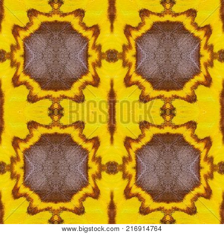 Background Created From Moth Wings