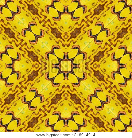 Background Created From Moth Wings