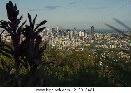 View Of Brisbane And Surrounding Suburbs From Mount Coot-tha During The Day
