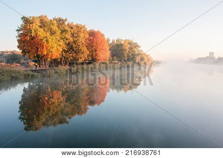 Autumn landscape in city park. Heavy fog on river in morning. Orange trees on river bank reflected in water