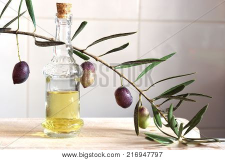 Olive oil in a still-life with a sprig of olive in the kitchen.