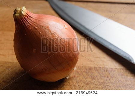 onion lying on a cutting board with a knife close-up