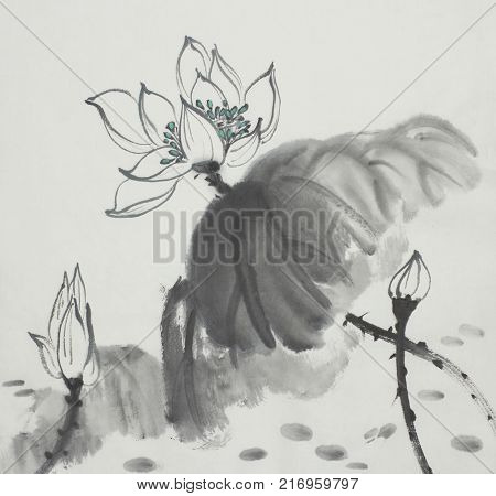 lotus flower painted in Chinese style ink