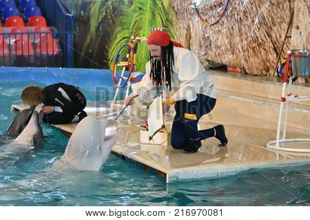 Orenburg, Russia - November 8, 2017 Year: Dolphins And Belukha (lat. Delphinapterus Leucas) In The D
