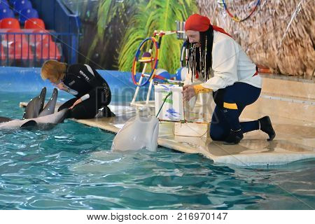 Orenburg, Russia - November 8, 2017 Year: Dolphins And Belukha (lat. Delphinapterus Leucas) In The D