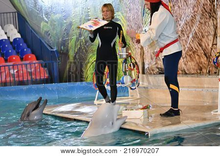 Orenburg, Russia - November 8, 2017 Year: Dolphins And Belukha (lat. Delphinapterus Leucas) In The D