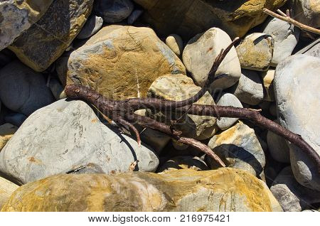 driftwood, washed up by the sea on a pebble beach on a warm summer day