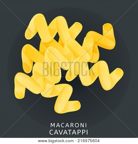 Traditional italian kitchen. Macaroni cavatappi, pasta. Icon isolated on dark background. Vector illustration.