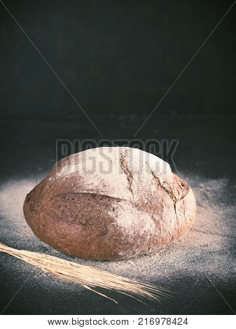 Whole homemade sourdough rye bread with rye spike and rye flour and on black textured background. Copy space. Low key