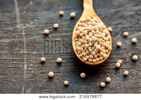Close up wooden spoon with white peppercorn on dark background