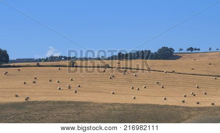 Mountain Landscape In Abruzzi At Summer