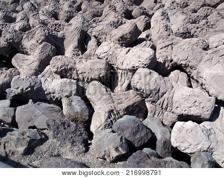 interlocking tetrapod concrete breakwater structures used in coastal defense