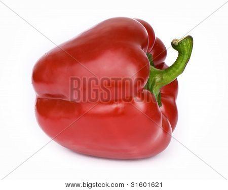 Paprika
