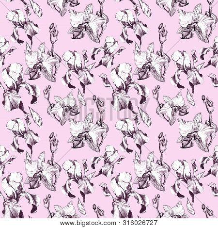 Floral Seamless Pattern With Hand Drawn Ink Iris And Orchid Flowers On Pink Background. Flowers Line