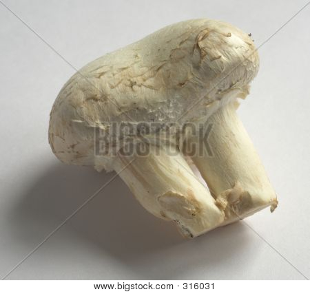 Sjælden dobbelt stænglede champignon