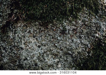 Old Gray Stone Wall With Green Moss Texture Background