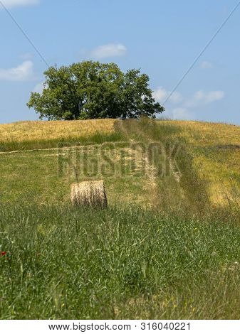 Passo Del Penice, Pavia, Lombardy, Italy: Mountaain Landscape At Late Spring (june)