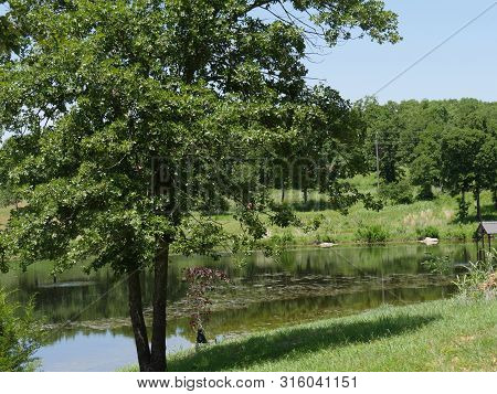 Lake View By The Roadside At Chickasaw National Recreation Area In Davis, Oklahoma