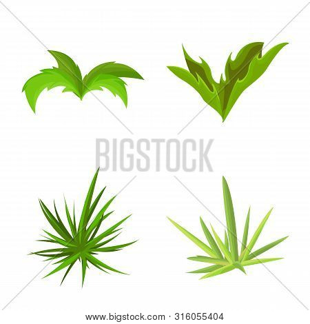 Vector Design Of Garden And Grass Logo. Set Of Garden And Shrub Vector Icon For Stock.