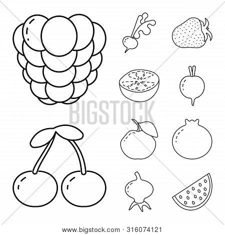 Vector Design Of Healthy And Ripe Logo. Set Of Healthy And Harvest Vector Icon For Stock.