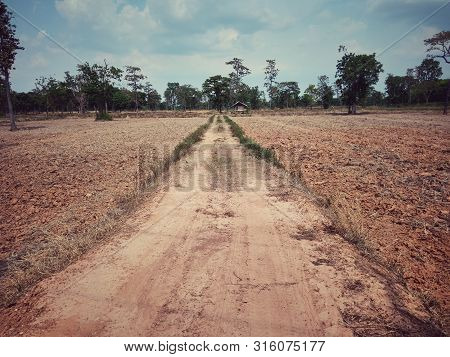 Rural Roads Are Used To Drive Agricultural Vehicles.