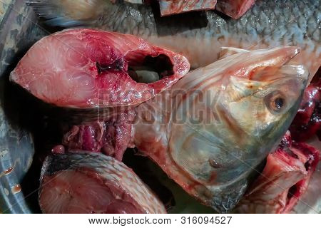 Hilsa Fish Being Cut For Cooking