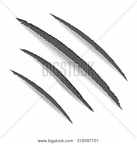 Animal Claws Scratches. Claw Scars. Dog, Cat, Lion, Tiger Or Bear Paw Print. Four Nails Trace. Vecto