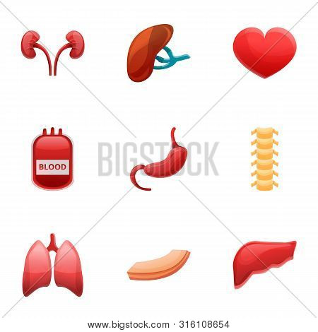 Hospital Human Organs Transplant Icon Set. Cartoon Set Of 9 Hospital Human Organs Transplant Vector 