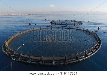 Fish Farm In The Sea, Fenced With A Round Net.