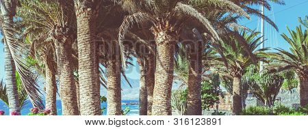Toned Photo Of Puerto Del Carmen Beach In Lanzarote, Canary Islands, Spain. Blue Sea, Palm Trees, Se