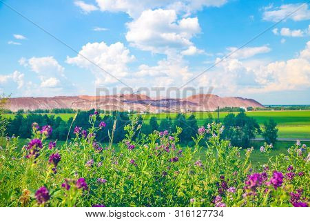 Green Grass In The Foreground, Out Of Focus Terricone - An Artificial Mound From Waste Rock, Extract