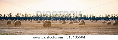 Panoramic View Of Big Round Haystacks On Field In Countryside
