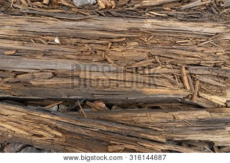 Old Wood Texture. Grunge Retro Vintage Wooden Board.