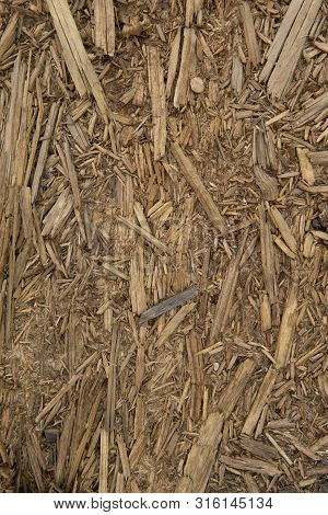 Old Wood Texture. Grunge Retro Vintage Wooden Board.