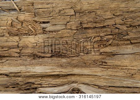 Old Wood Texture. Grunge Retro Vintage Wooden Board. Dusty Background
