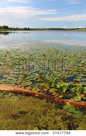 Shabbona Lake State Park