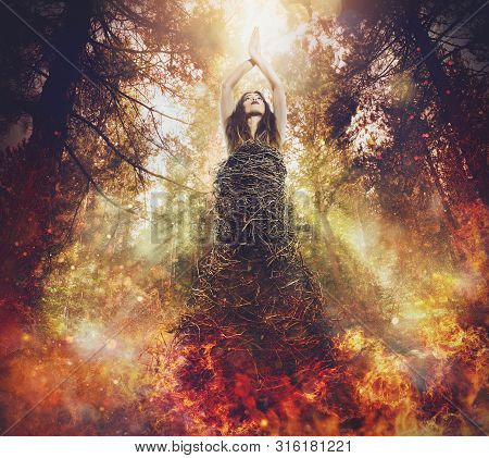 Beauty Photo. Tree Is A Life. Forest Fires Kill Lives.