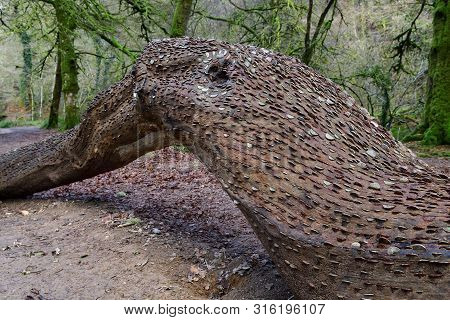 Close Up Of A Tree Trunk Full Of Coins At Tarr Steps In Devon