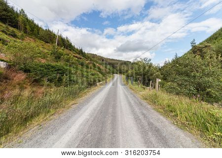 Country Lane In Powys, Wales. Landscape View Over Welsh Countryside Near Hafren Forest.