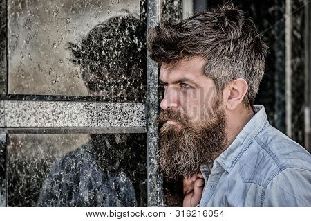 Beard Grooming. Beard Care. Masculinity And Manliness. Man Attractive Bearded Hipster Posing Outdoor