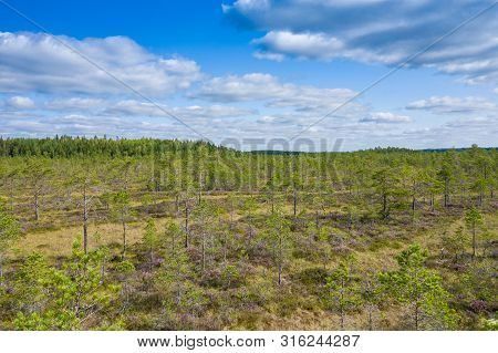 Aerial View Of Kurjenrahka National Park. Turku. Finland. Nordic Natural Landscape. Scandinavian Nat