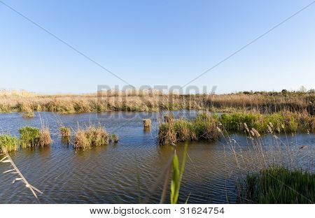 Delta Del Llobregat