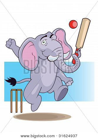 Cricket elefante
