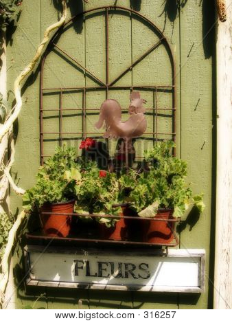 Fleurs1
