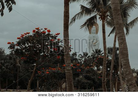 Buddah Statue View Through Trees With Flowers